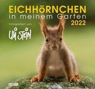 Eichhörnchen in meinem Garten 2022: Monatskalender für die Wand im Großformat
