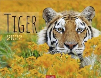 Tiger Kalender 2022