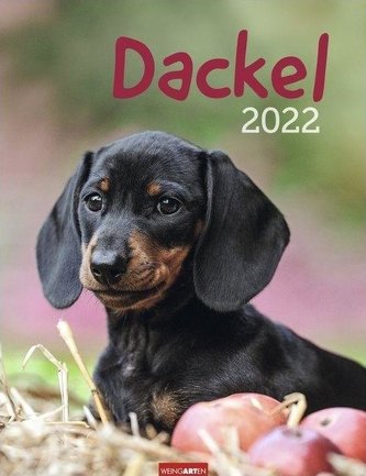 Dackel - Kalender 2022