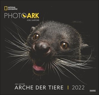 Arche der Tiere National Geographic Kalender 2022