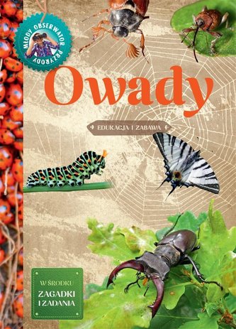 Młody Obserwator Przyrody. Owady