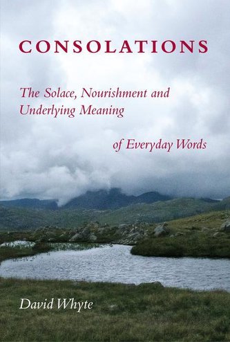 Consolations: The Solace, Nourishment and Underlying Meaning of Everyday Words