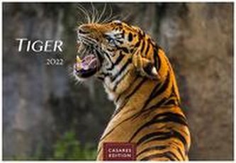 Tiger 2022 - Format S