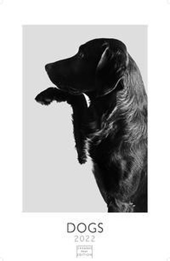 Dogs 2022 - Format S