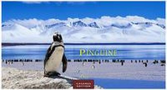 Pinguine 2022 - Format L