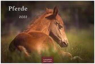 Pferde 2022 S 35x24cm