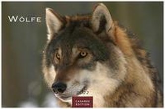 Wölfe 2022 - Format S