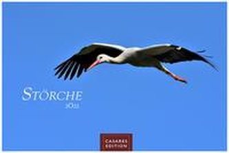 Störche 2022 - Format L