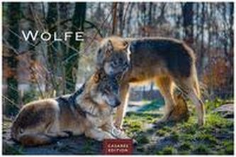 Wölfe 2022 - Format L