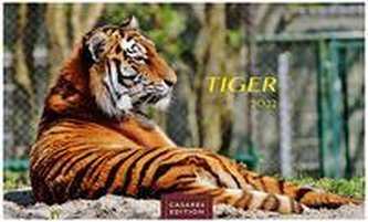 Tiger 2022 - Format L