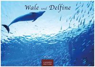 Wale und Delphine 2022 - Format L