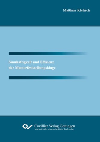 Sinnhaftigkeit und Effizienz der Musterfeststellungsklage