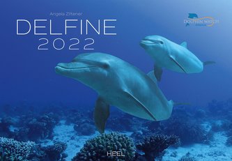 Delfine 2022