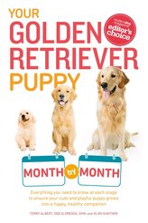 Your Golden Retriever Puppy Month by Month: Everything You Need to Know at Each Stage to Ensure Your Cute and Playful Puppy