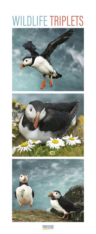 Wildlife Triplets 2022