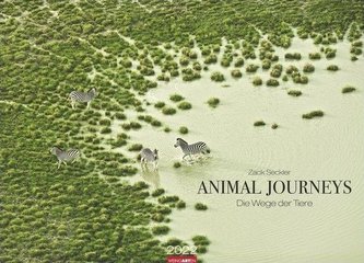Animal Journeys Kalender 2022