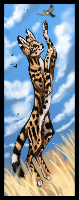 Sběratelská záložka - Šelmy 4