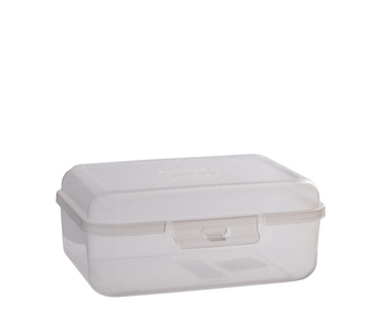 Svačinový box plast 19x8x13cm