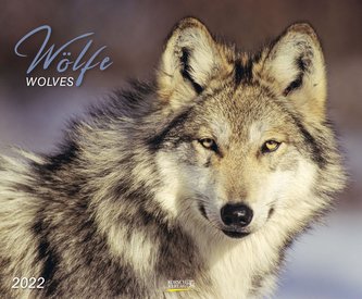 Wölfe 2022