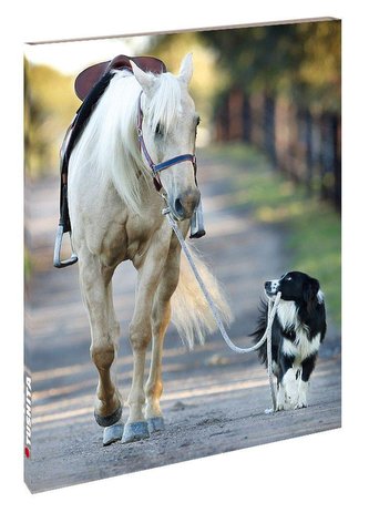 You'll Never Walk Alone