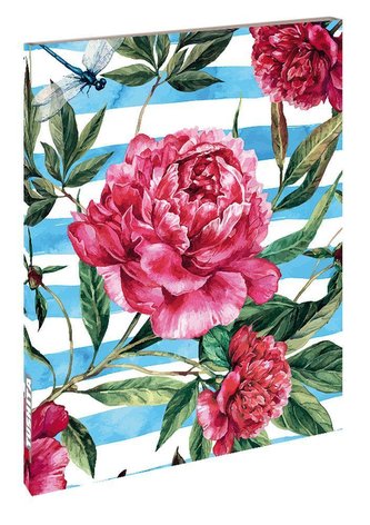 Pfingstrosen/Peonies