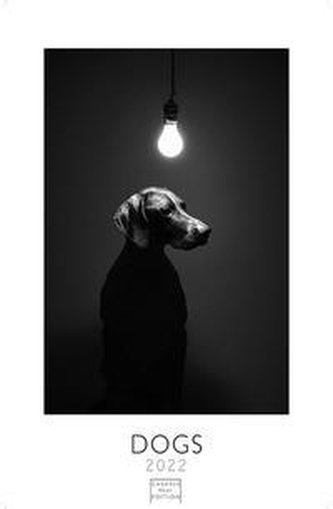 Dogs 2022 - Format L