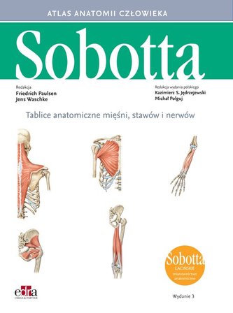 Tablice anatomiczne mięśni, stawów i nerwów. Łacińskie mianownictwo