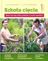 Szkoła cięcia
