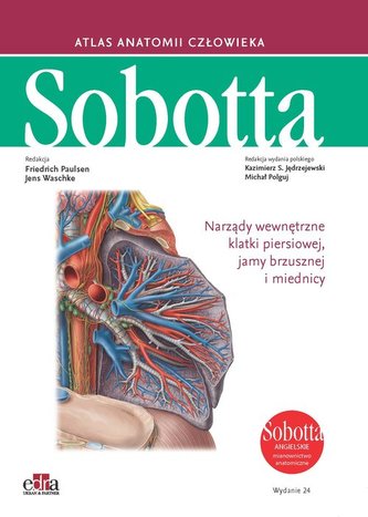 Atlas anatomii człowieka Sobotta. Angielskie mianownictwo. Tom 2.