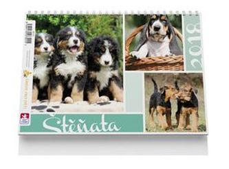Štěňata - stolní kalendář