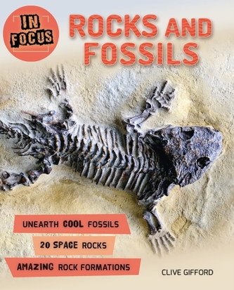 In Focus: Rocks and Fossils In Focus: Rocks and Fossils