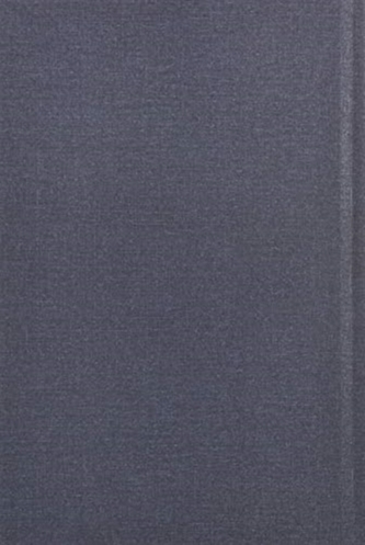 The Fantabulous Golden Lightning Bolts