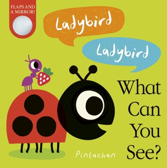 Ladybird! Ladybird! What Can You See? Ladybird! Ladybird! What Can You See?