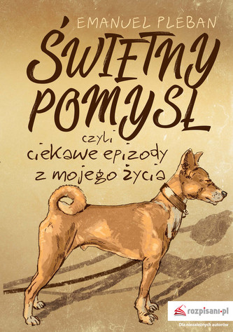 Świetny pomysł