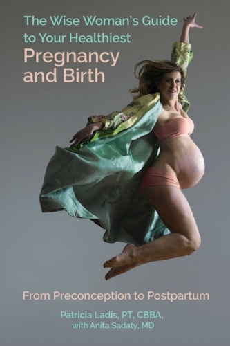 The Wise Woman's Guide to Your Healthiest Pregnancy and Birth