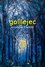 Galilejec Galilejec