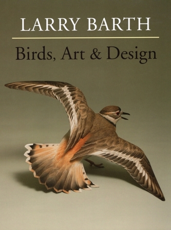 Birds, Art & Design Birds, Art & Design