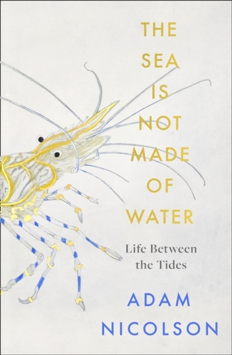 the sea is not made of water