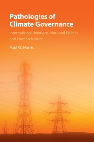 Pathologies of Climate Governance