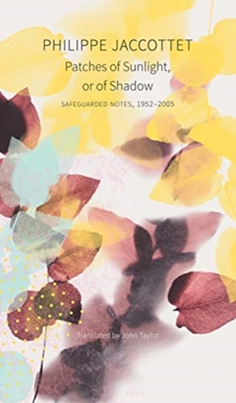 Patches of Sunlight, Or of Shadow Patches of Sunlight, Or of Shadow