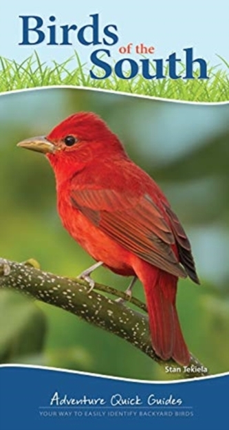 Birds of the South Birds of the South