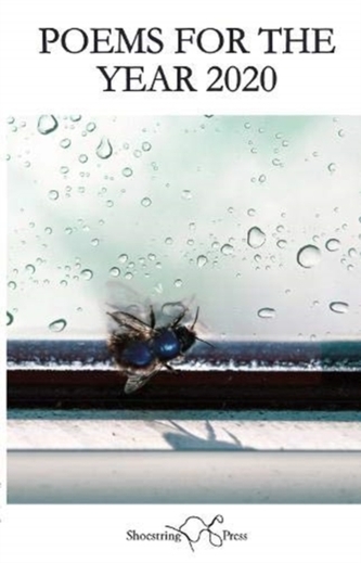 Poems For The Year 2020