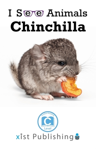 Chinchilla
