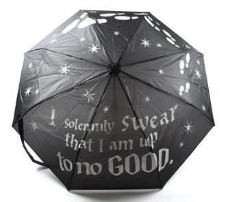 Proměňovací deštník Harry Potter: I solemnly Swear... (průměr 106 cm)
