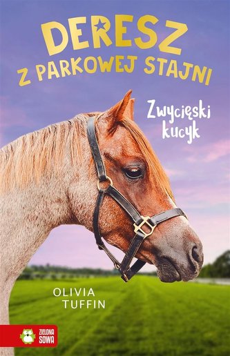 Deresz z Parkowej Stajni. Zwycięski kucyk Deresz z Parkowej Stajni. Zwycięski kucyk
