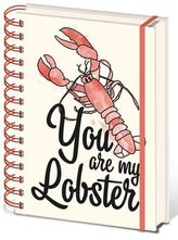 Zápisník Friends|Přatelé: You Are My Lobster kroužková vazba (14,8 x 21 cm)
