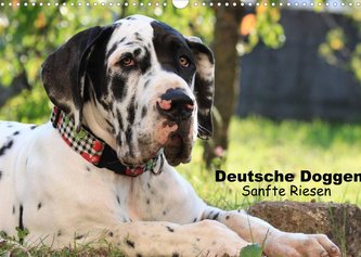 Deutsche Doggen - Sanfte Riesen (Wandkalender 2022 DIN A3 quer)