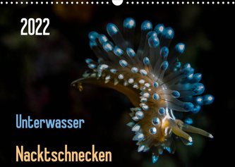 Unterwasser - Nacktschnecken  2022 (Wandkalender 2022 DIN A3 quer)