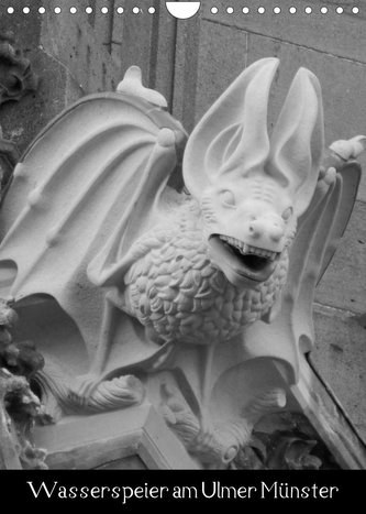 Wasserspeier am Ulmer Münster (Wandkalender 2022 DIN A4 hoch)