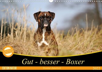 Gut - besser - Boxer (Wandkalender 2022 DIN A3 quer)